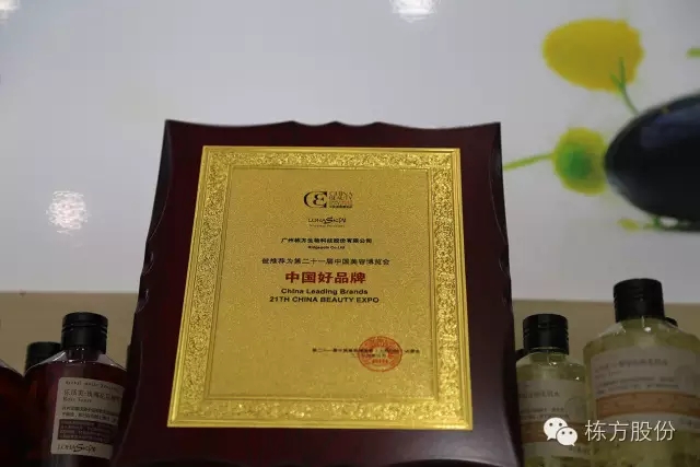 科技引領美麗▏棟方股份榮獲“中國好品牌獎”！