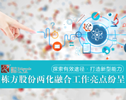 探索有效途徑，打造新型能力——棟方股份兩化融合工作亮點(diǎn)紛呈