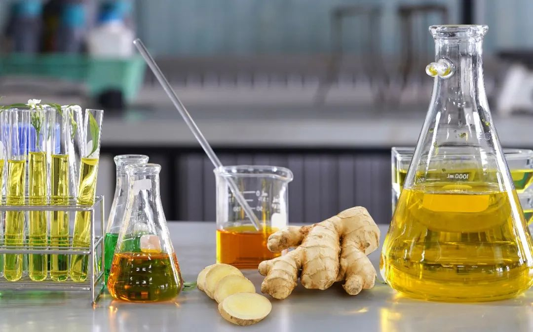 棟方股份榮獲2021年廣東省科技進(jìn)步獎，科研創(chuàng)新實(shí)力再獲認(rèn)可！